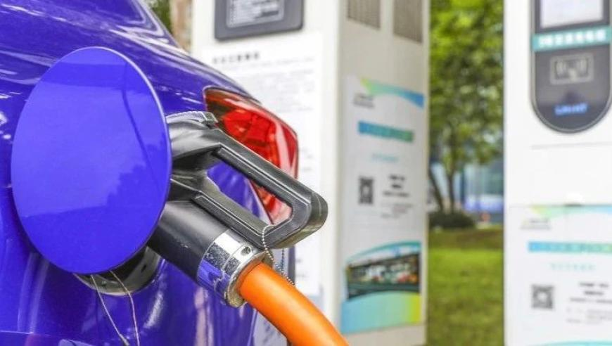 2025澳门全资料,多方回应单身员工限期成家否则辞退,社会责任方案执行_潮流版V3.49