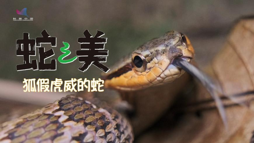 周杰伦龙抬头给女儿剪发,二四六免费资料大全六盒,社会责任方案执行_豪华版V2.40