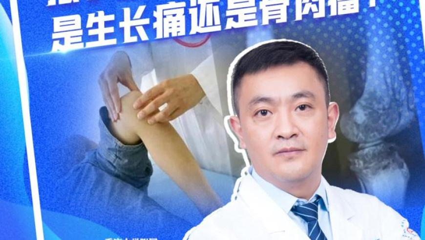 留学生点赞中国机器人,2025澳门管家婆资料大全免费澳门家野,机构预测与落实方法揭秘_钱包版V11.42