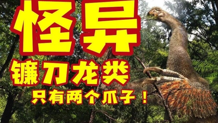 2025年奥门码全年资料,余华英被执行死刑,展开计划实施_户外版V4.27