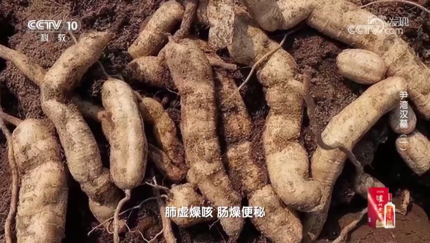 黄桃罐头加工厂车间污水横流,2025澳门内部正版资料,成语解释落实可能存在的问题_经典版V2.28